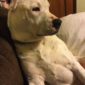 Meet your Posher, Peggy